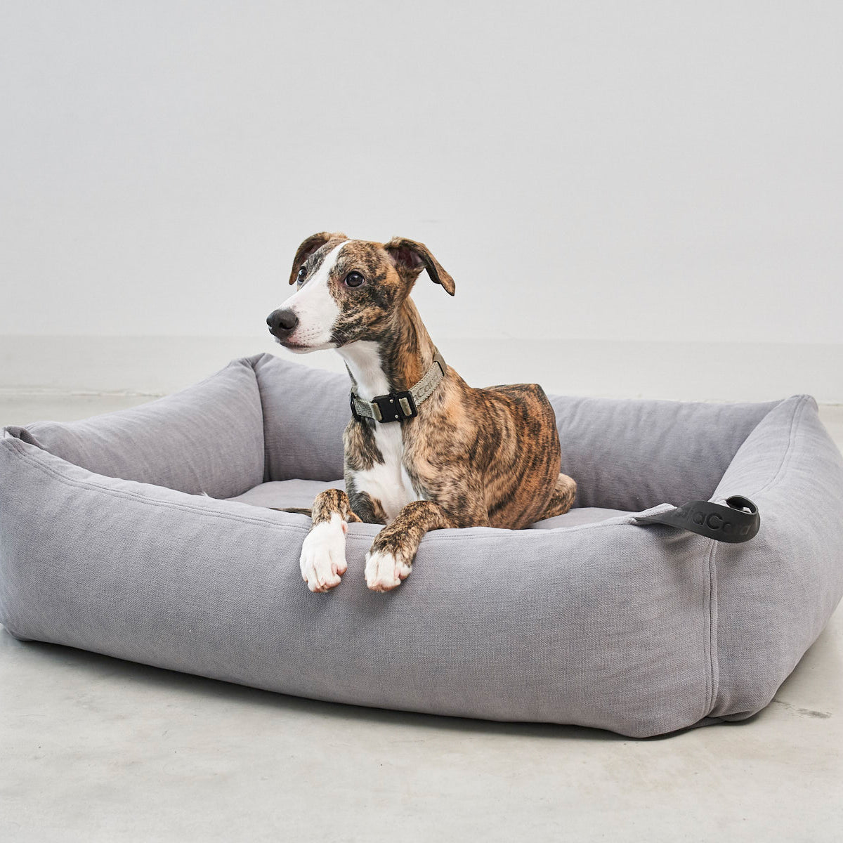 Comodo Box Dog Bed