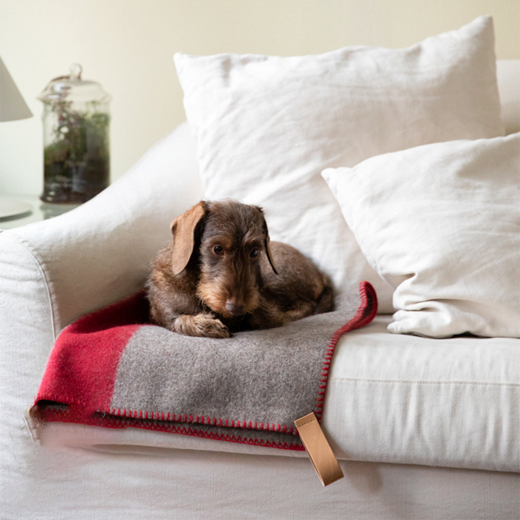 Ansel Recycled Wool Dog Blanket