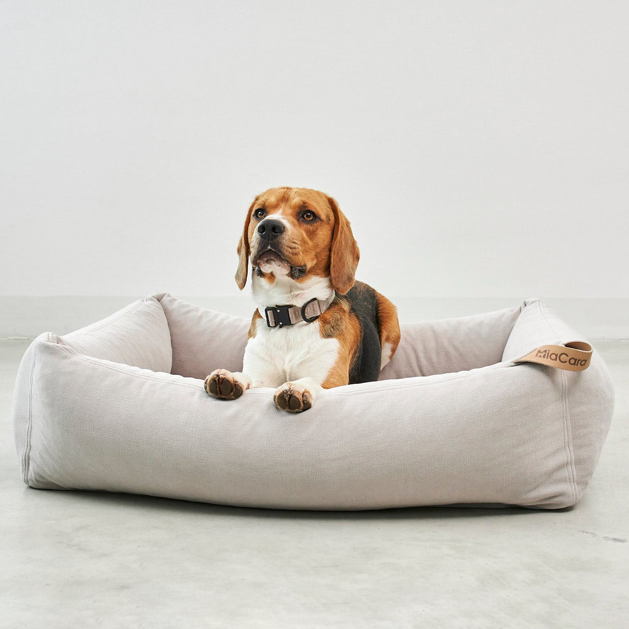 Comodo Box Dog Bed