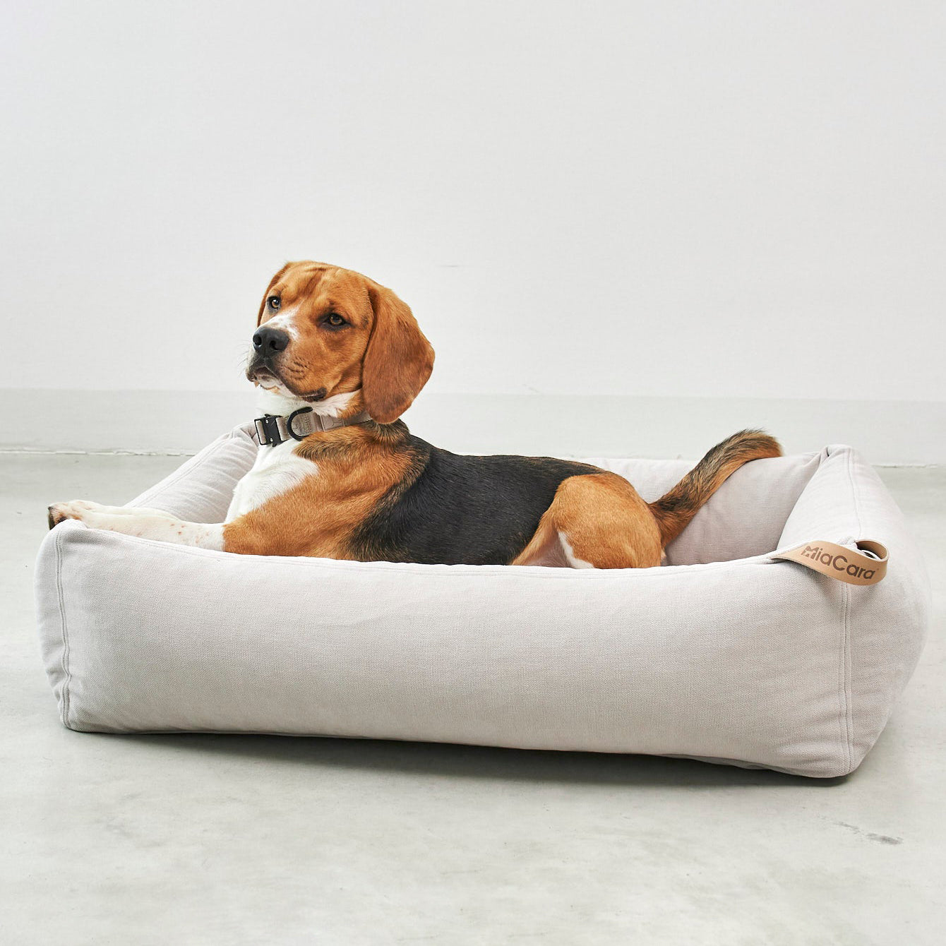 Comodo Box Dog Bed