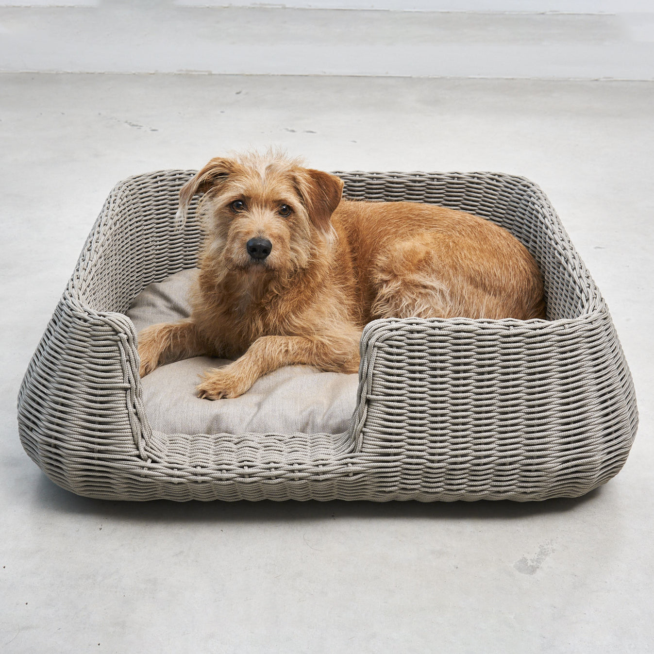 Mio Dog Basket